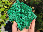 Natural Large Silky Malachite Specimen x 1 From Kasompe, Congo - Toprock Gemstones and Minerals 
