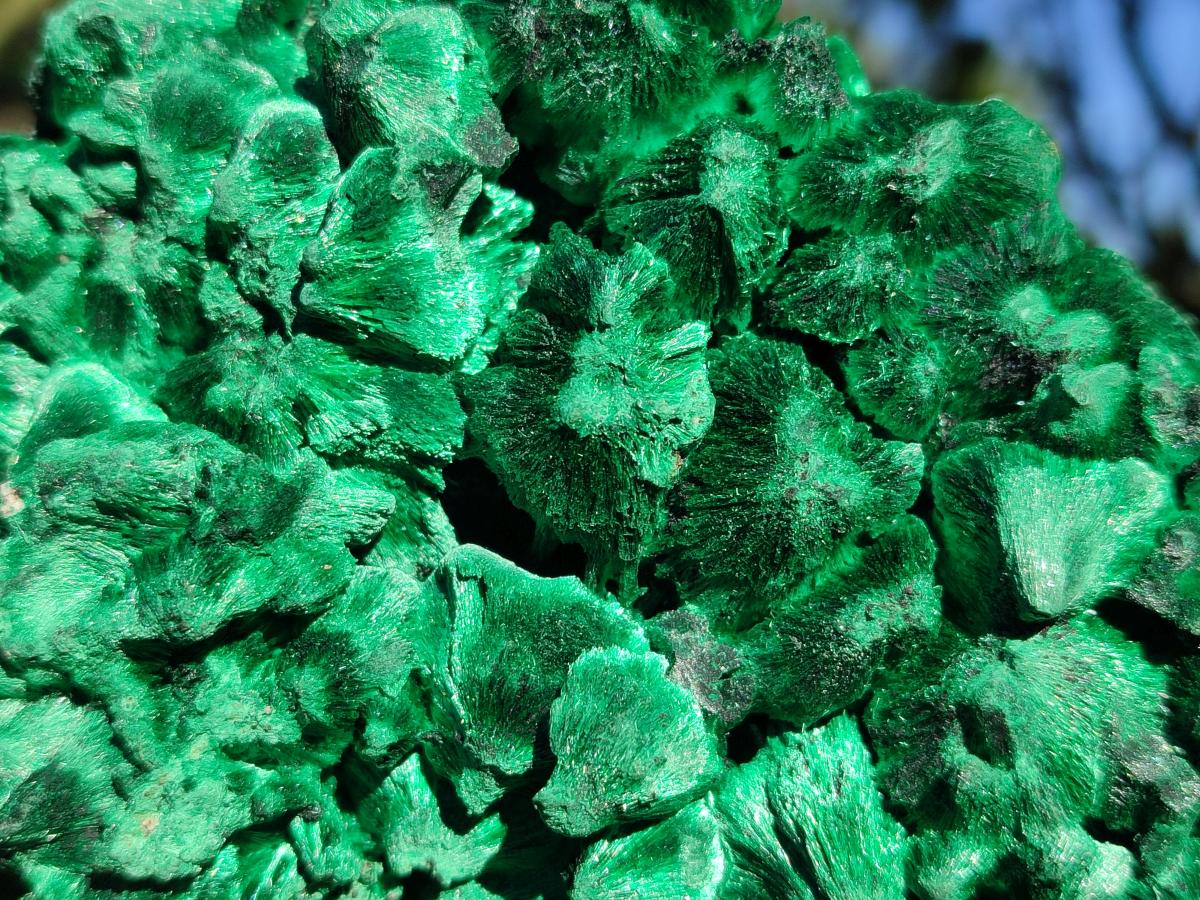 Natural Large Silky Malachite Specimen x 1 From Kasompe, Congo - Toprock Gemstones and Minerals 