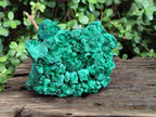 Natural Large Silky Malachite Specimen x 1 From Kasompe, Congo - Toprock Gemstones and Minerals 