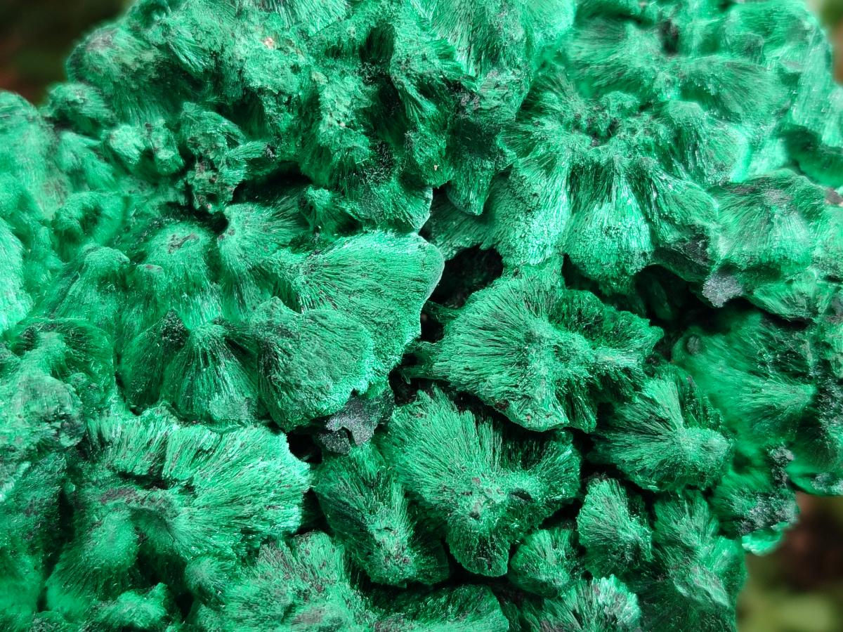 Natural Large Silky Malachite Specimen x 1 From Kasompe, Congo - Toprock Gemstones and Minerals 