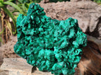 Natural Large Silky Malachite Specimen x 1 From Kasompe, Congo - Toprock Gemstones and Minerals 