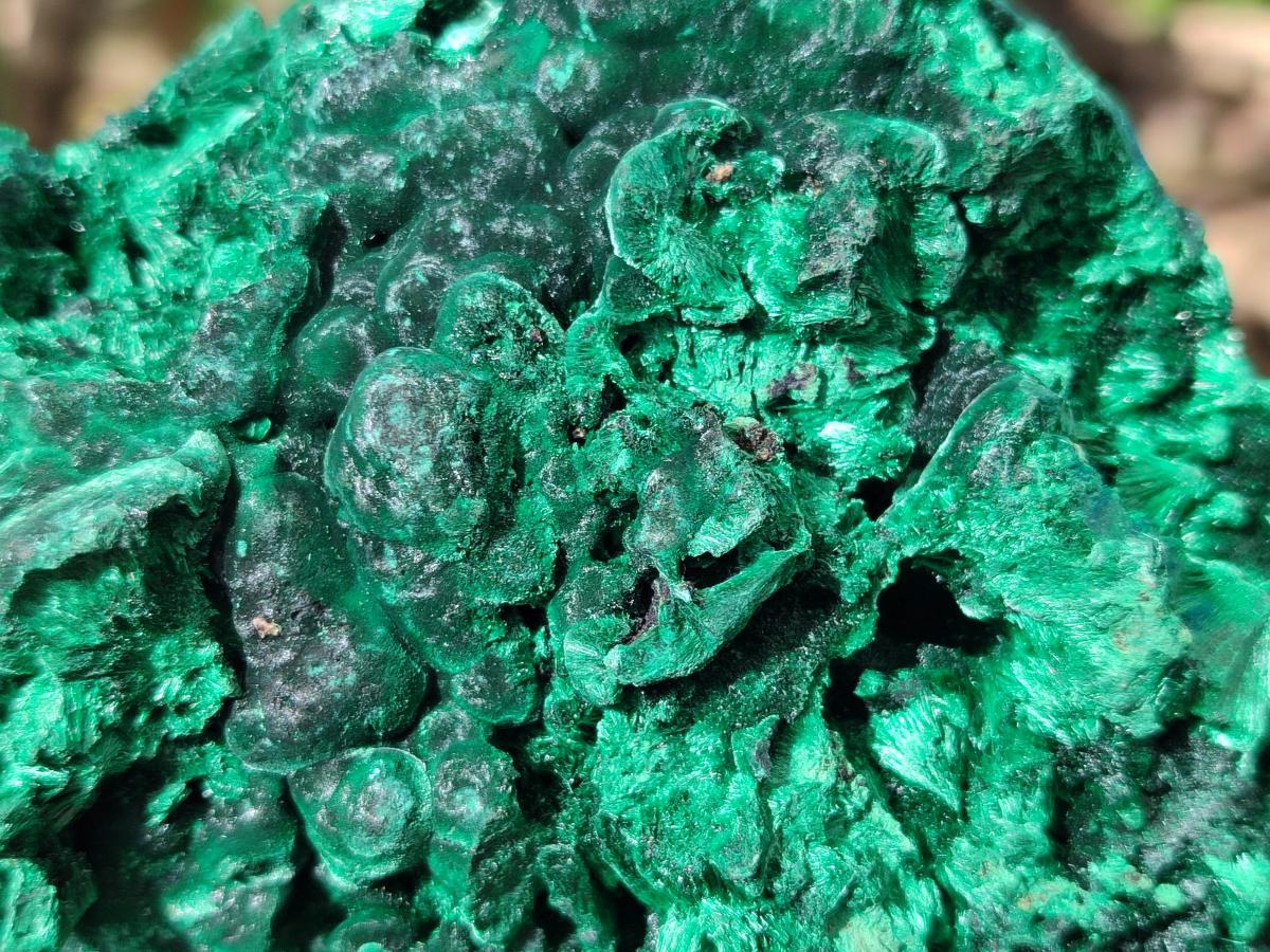 Natural Large Silky Malachite Specimen x 1 From Kasompe, Congo - Toprock Gemstones and Minerals 