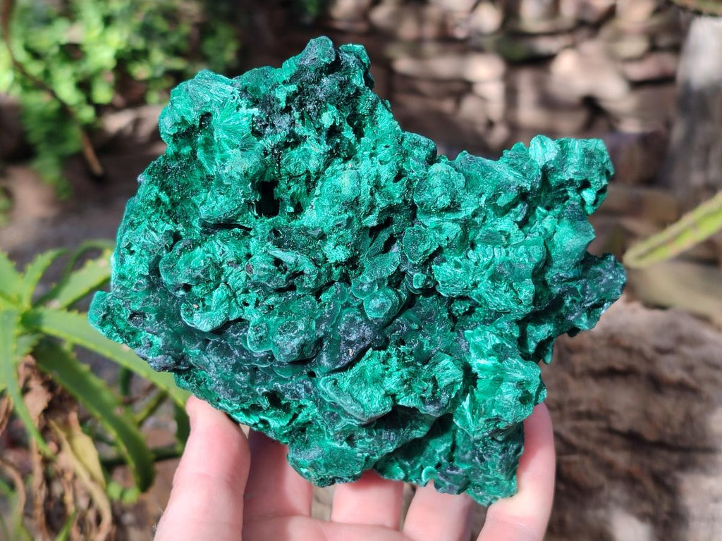 Natural Large Silky Malachite Specimen x 1 From Kasompe, Congo - Toprock Gemstones and Minerals 