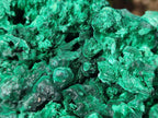 Natural Large Silky Malachite Specimen x 1 From Kasompe, Congo - Toprock Gemstones and Minerals 