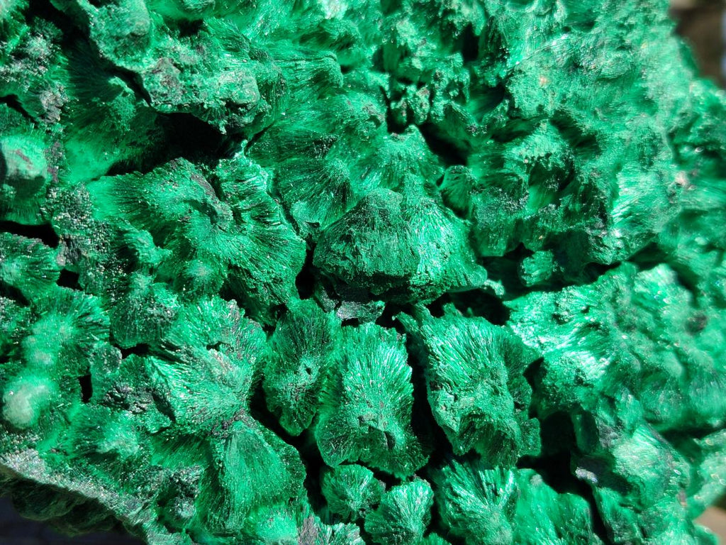 Natural Large Silky Malachite Specimen x 1 From Kasompe, Congo - Toprock Gemstones and Minerals 