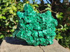 Natural Large Silky Malachite Specimen x 1 From Kasompe, Congo - Toprock Gemstones and Minerals 