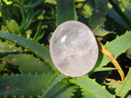 Polished Gemmy Rose Quartz Palm Stones x 20 From Madagascar - Toprock Gemstones and Minerals 