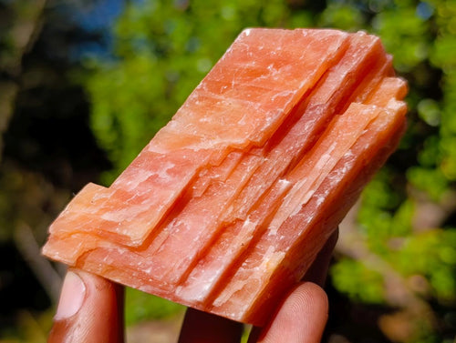 Natural Rhombohedral Sunset Orange Calcite Specimens x 12 From Spitzkop, Namibia - Toprock Gemstones and Minerals 