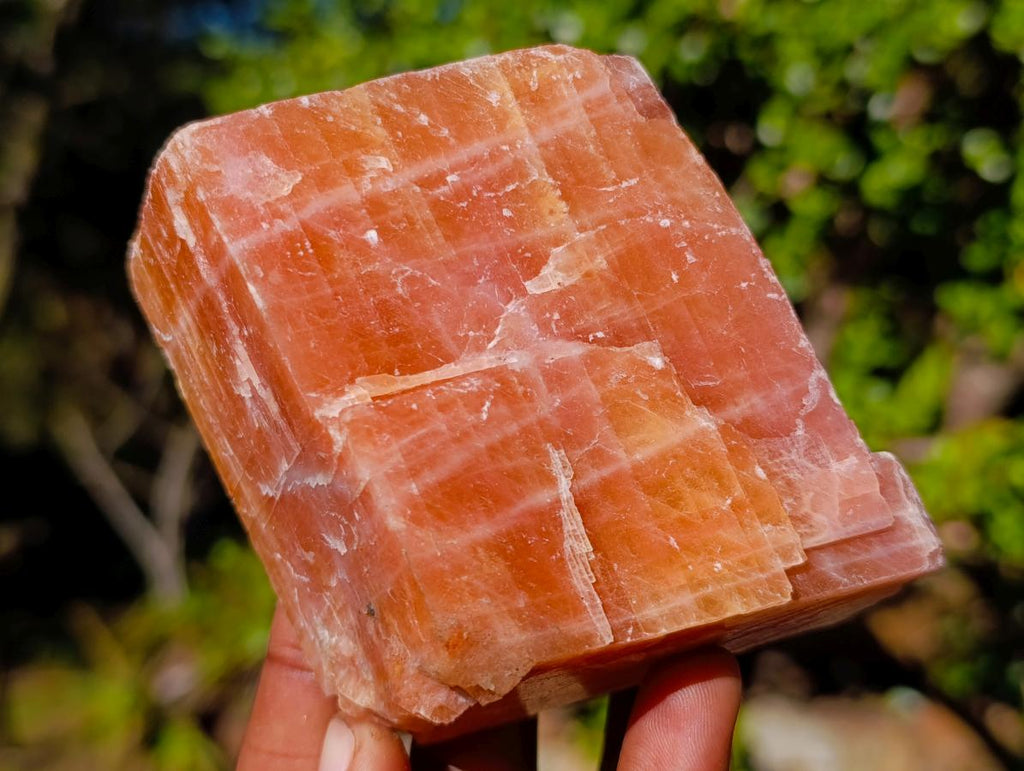 Natural Rhombohedral Sunset Orange Calcite Specimens x 12 From Spitzkop, Namibia - Toprock Gemstones and Minerals 