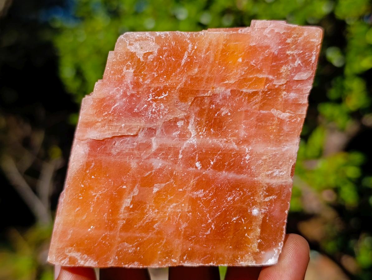 Natural Rhombohedral Sunset Orange Calcite Specimens x 12 From Spitzkop, Namibia - Toprock Gemstones and Minerals 