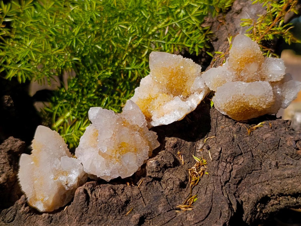 Natural Limonite Spirit Quartz Crystals x 35 From Boekenhouthoek, South Africa - Toprock Gemstones and Minerals 