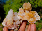 Natural Limonite Spirit Quartz Crystals x 35 From Boekenhouthoek, South Africa - Toprock Gemstones and Minerals 
