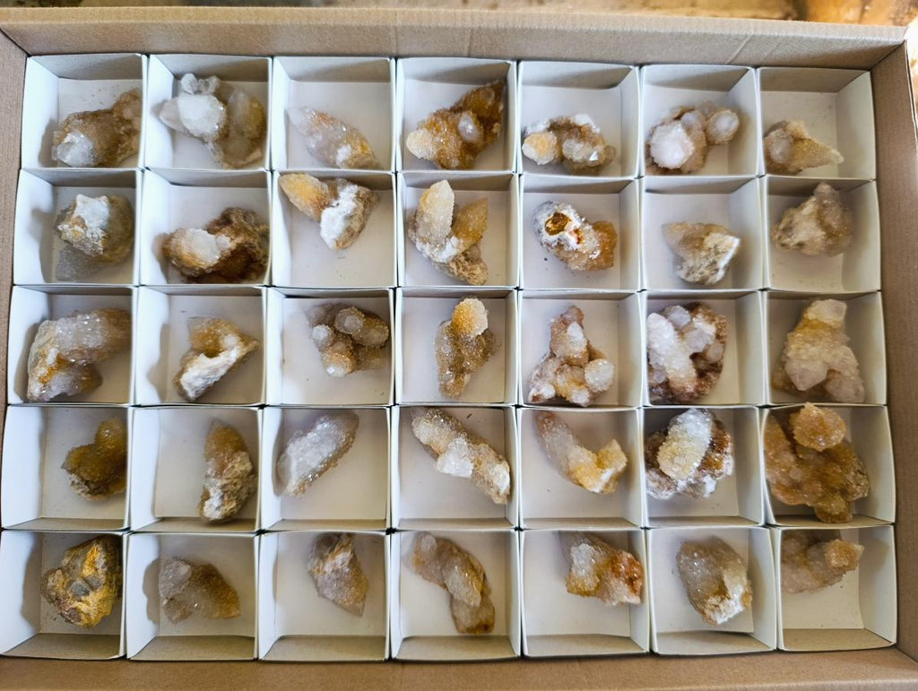 Natural Limonite Spirit Quartz Crystals x 35 From Boekenhouthoek, South Africa - Toprock Gemstones and Minerals 