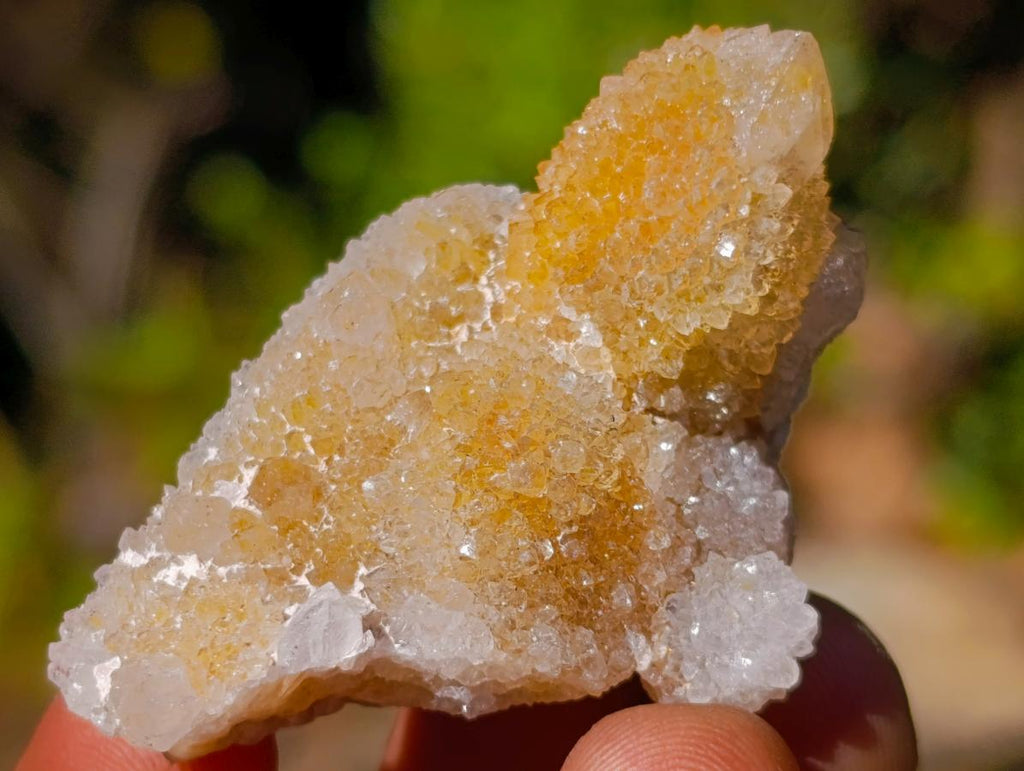 Natural Limonite Spirit Quartz Crystals x 35 From Boekenhouthoek, South Africa - Toprock Gemstones and Minerals 