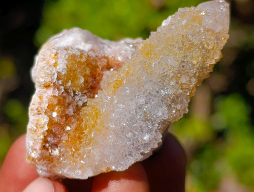Natural Limonite Spirit Quartz Crystals x 35 From Boekenhouthoek, South Africa - Toprock Gemstones and Minerals 