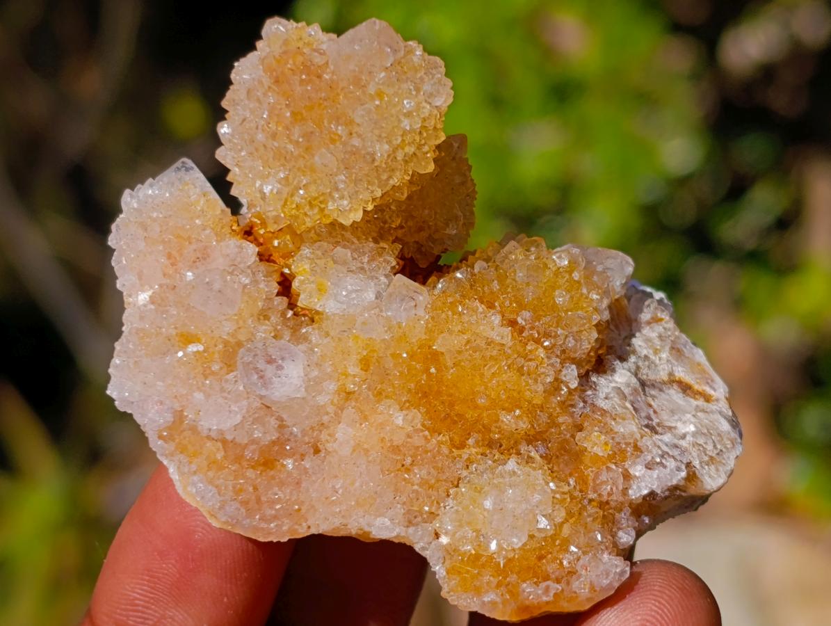 Natural Limonite Spirit Quartz Crystals x 35 From Boekenhouthoek, South Africa - Toprock Gemstones and Minerals 