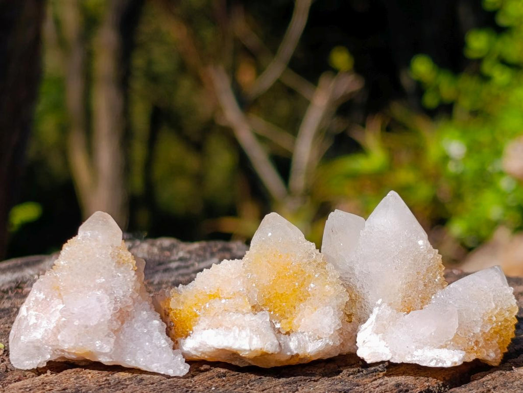 Natural Limonite Spirit Quartz Crystals x 35 From Boekenhouthoek, South Africa - Toprock Gemstones and Minerals 