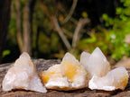 Natural Limonite Spirit Quartz Crystals x 35 From Boekenhouthoek, South Africa - Toprock Gemstones and Minerals 