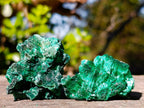 Natural Silky Malachite Specimens x 35 From Kasompe, Congo - Toprock Gemstones and Minerals 