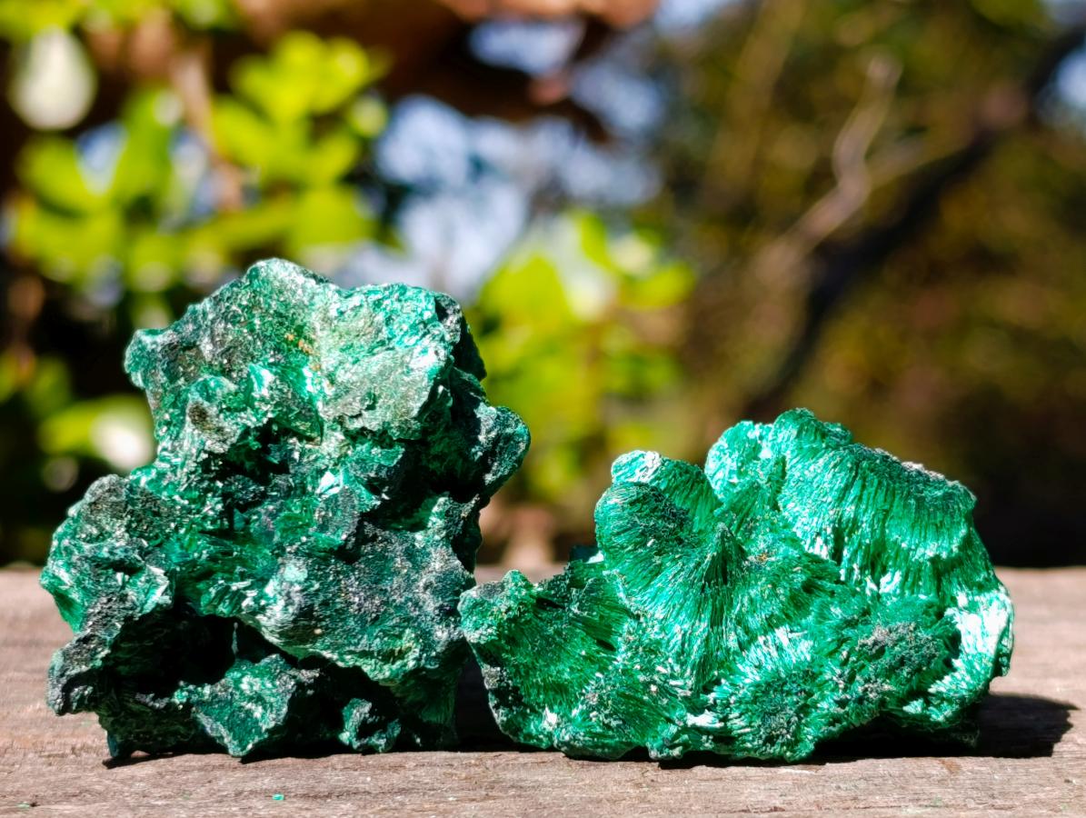Natural Silky Malachite Specimens x 35 From Kasompe, Congo - Toprock Gemstones and Minerals 