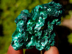 Natural Silky Malachite Specimens x 35 From Kasompe, Congo - Toprock Gemstones and Minerals 