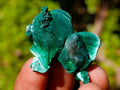 Natural Silky Malachite Specimens x 35 From Kasompe, Congo - Toprock Gemstones and Minerals 