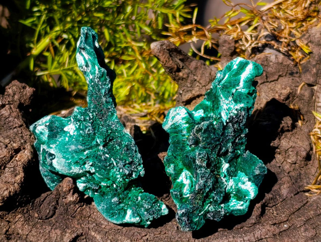 Natural Silky Malachite Specimens x 35 From Kasompe, Congo - Toprock Gemstones and Minerals 