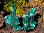 Natural Silky Malachite Specimens x 35 From Kasompe, Congo - Toprock Gemstones and Minerals 