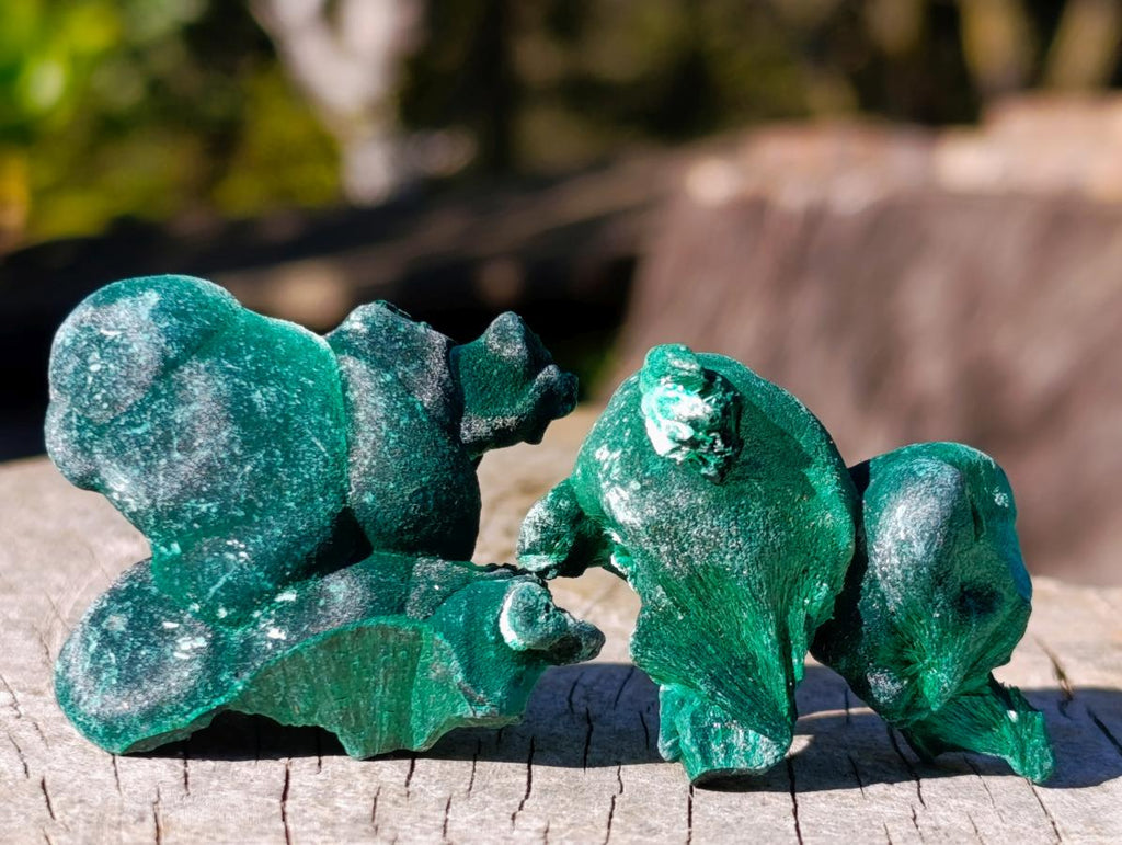 Natural Silky Malachite Specimens x 35 From Kasompe, Congo - Toprock Gemstones and Minerals 