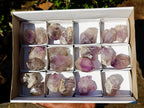 Natural Jacaranda Amethyst Single Crystals x 21 From Mumbwa, Zambia - Toprock Gemstones and Minerals 
