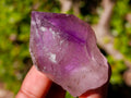 Natural Jacaranda Amethyst Single Crystals x 21 From Mumbwa, Zambia - Toprock Gemstones and Minerals 