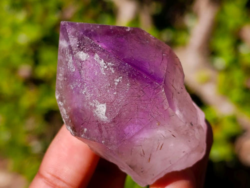 Natural Jacaranda Amethyst Single Crystals x 21 From Mumbwa, Zambia - Toprock Gemstones and Minerals 