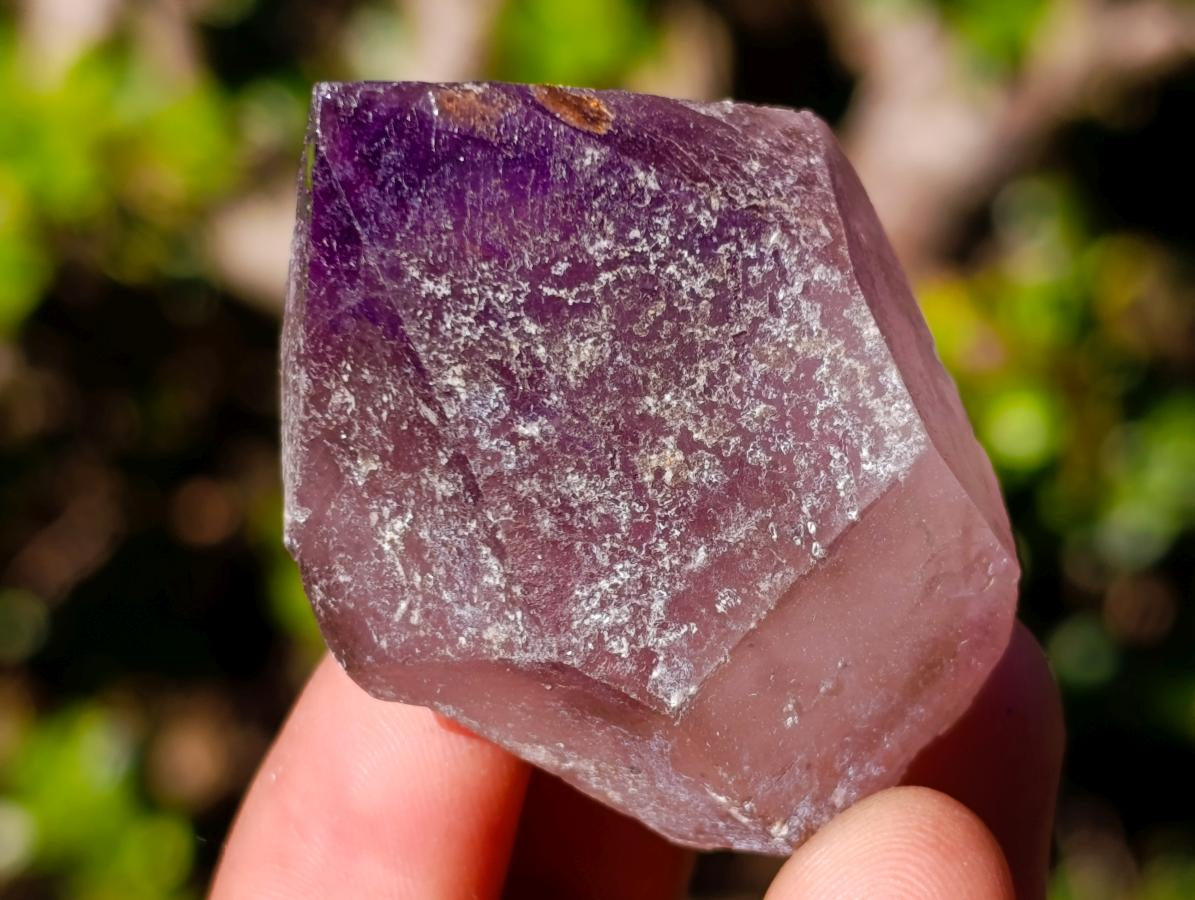 Natural Jacaranda Amethyst Single Crystals x 21 From Mumbwa, Zambia - Toprock Gemstones and Minerals 