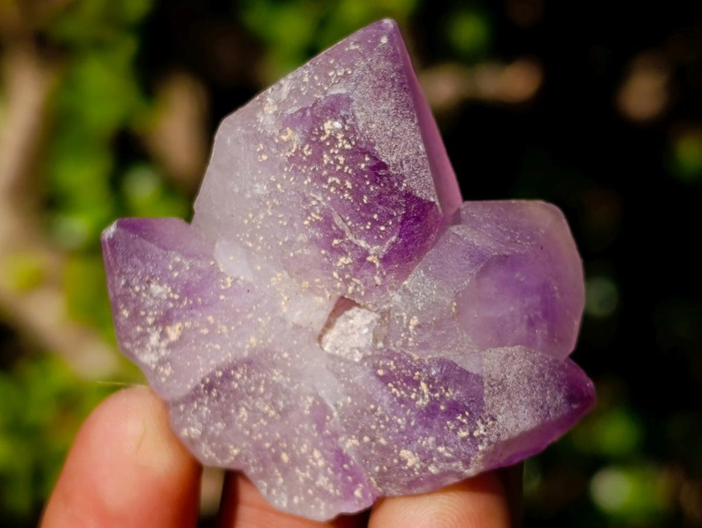 Natural Jacaranda Amethyst Single Crystals x 21 From Mumbwa, Zambia - Toprock Gemstones and Minerals 
