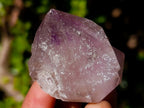 Natural Jacaranda Amethyst Single Crystals x 21 From Mumbwa, Zambia - Toprock Gemstones and Minerals 