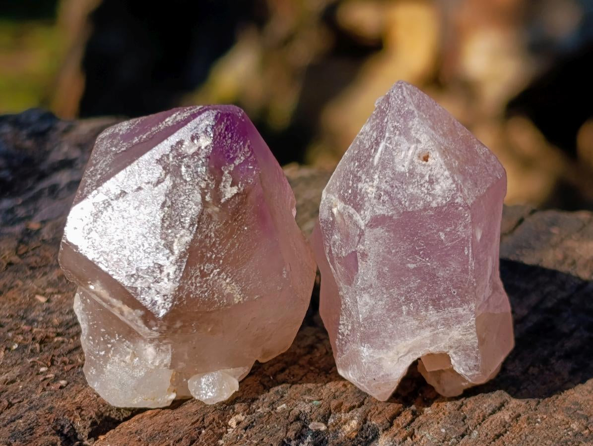 Natural Jacaranda Amethyst Single Crystals x 21 From Mumbwa, Zambia - Toprock Gemstones and Minerals 