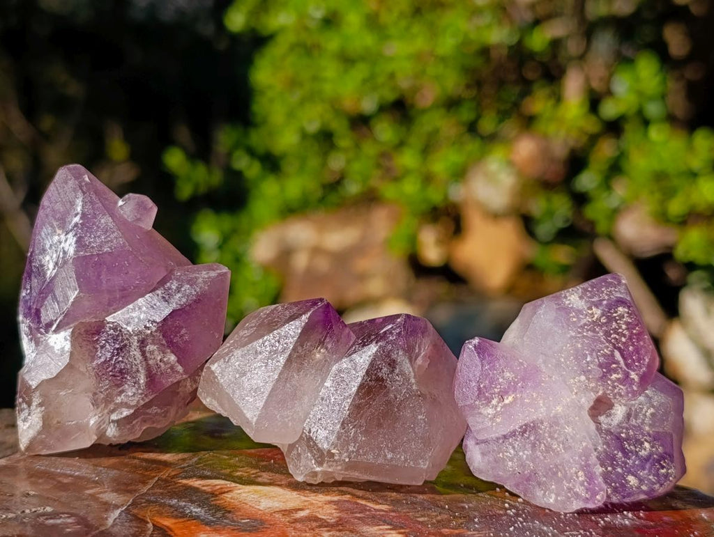 Natural Jacaranda Amethyst Single Crystals x 21 From Mumbwa, Zambia - Toprock Gemstones and Minerals 