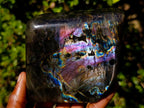Polished Spectrolite Labradorite Standing Display Pieces x 2 From Madagascar - Toprock Gemstones and Minerals 
