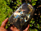 Polished Spectrolite Labradorite Standing Display Pieces x 2 From Madagascar - Toprock Gemstones and Minerals 