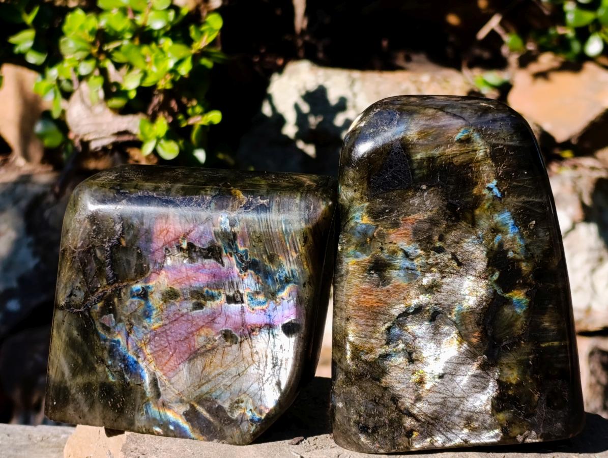 Polished Spectrolite Labradorite Standing Display Pieces x 2 From Madagascar - Toprock Gemstones and Minerals 