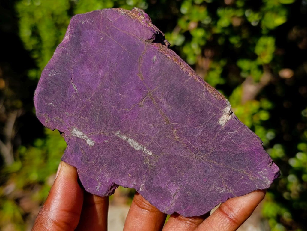Polished One Side Silky Purpurite Slices x 6 From Erongo, Namibia - Toprock Gemstones and Minerals 