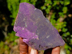 Polished One Side Silky Purpurite Slices x 6 From Erongo, Namibia - Toprock Gemstones and Minerals 