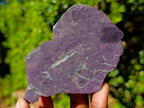 Polished One Side Silky Purpurite Slices x 6 From Erongo, Namibia - Toprock Gemstones and Minerals 