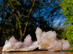 Natural Mix of Spirit Quartz Crystals and Clusters x 12 From Boekenhouthoek, South Africa - Toprock Gemstones and Minerals 