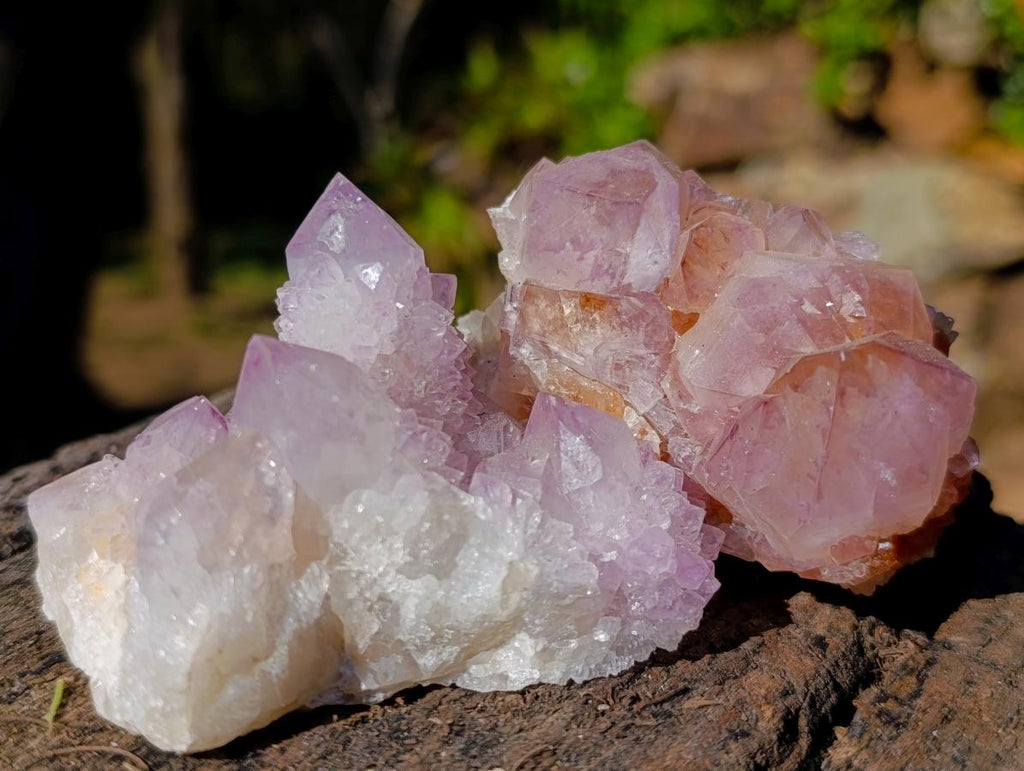Natural Mix of Spirit Quartz Crystals and Clusters x 12 From Boekenhouthoek, South Africa - Toprock Gemstones and Minerals 