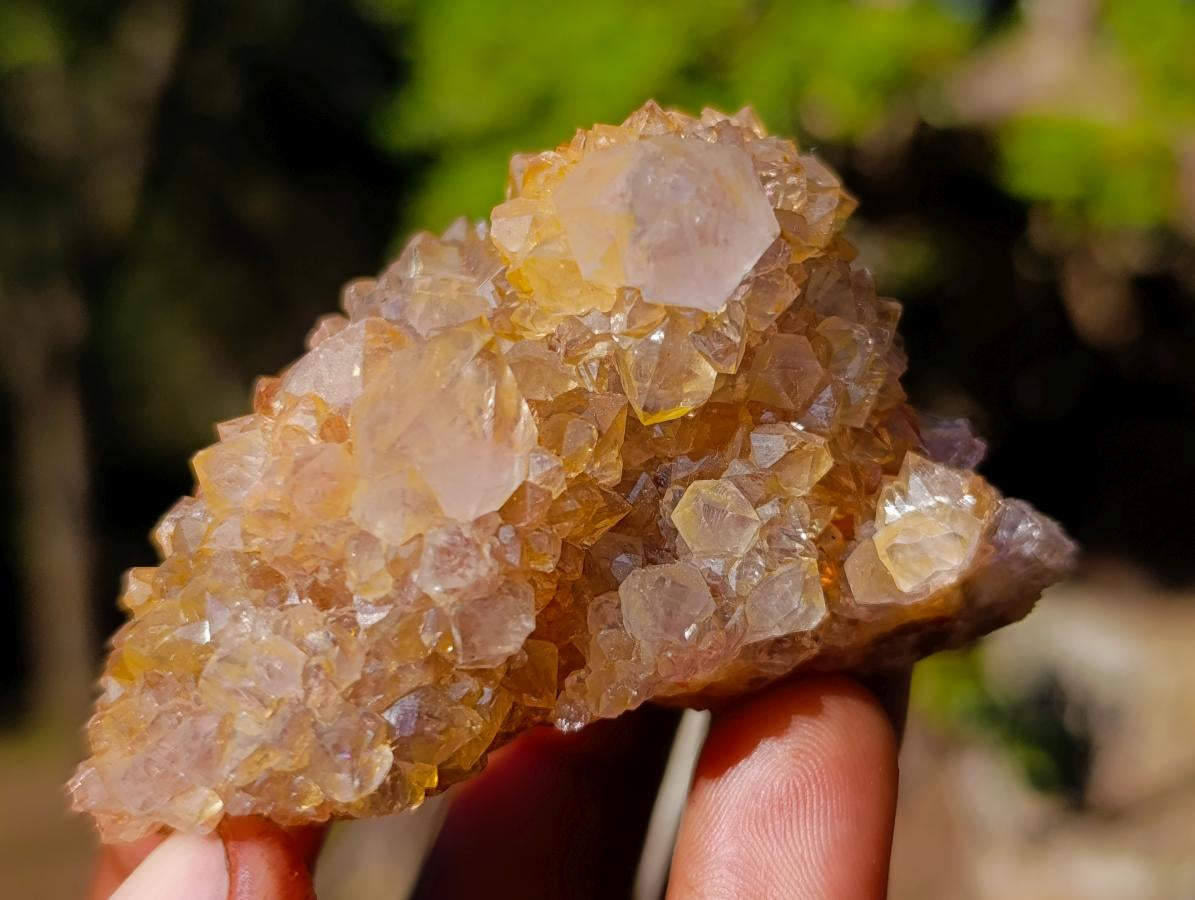 Natural Mix of Spirit Quartz Crystals and Clusters x 12 From Boekenhouthoek, South Africa - Toprock Gemstones and Minerals 