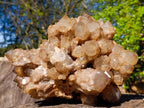 Natural XL Cascading White Phantom Smokey Luena Quartz Cluster x 1 From Luena, Congo - Toprock Gemstones and Minerals 