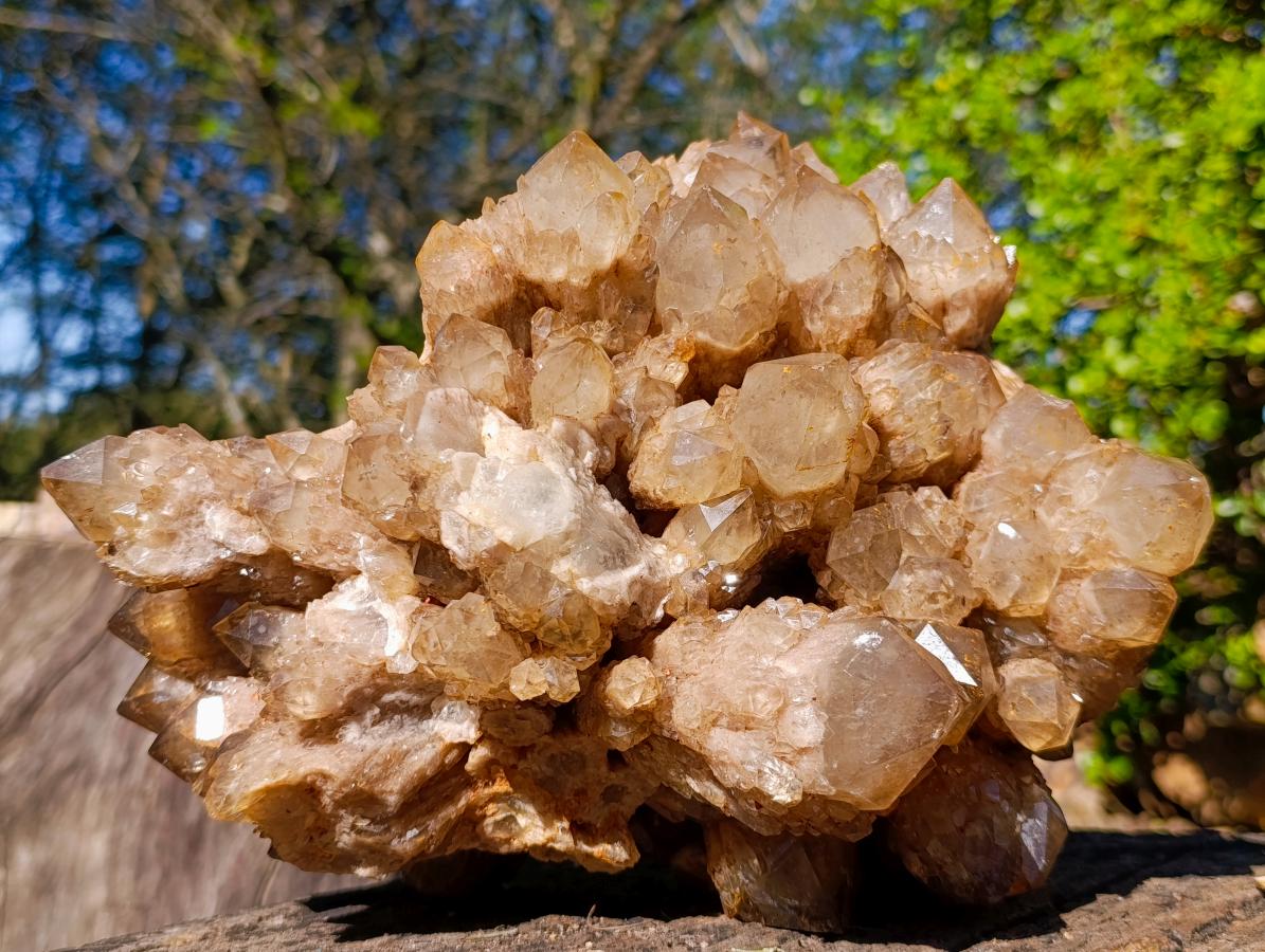 Natural XL Cascading White Phantom Smokey Luena Quartz Cluster x 1 From Luena, Congo - Toprock Gemstones and Minerals 