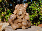 Natural XL Cascading White Phantom Smokey Luena Quartz Cluster x 1 From Luena, Congo - Toprock Gemstones and Minerals 