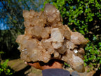 Natural XL Cascading White Phantom Smokey Luena Quartz Cluster x 1 From Luena, Congo - Toprock Gemstones and Minerals 